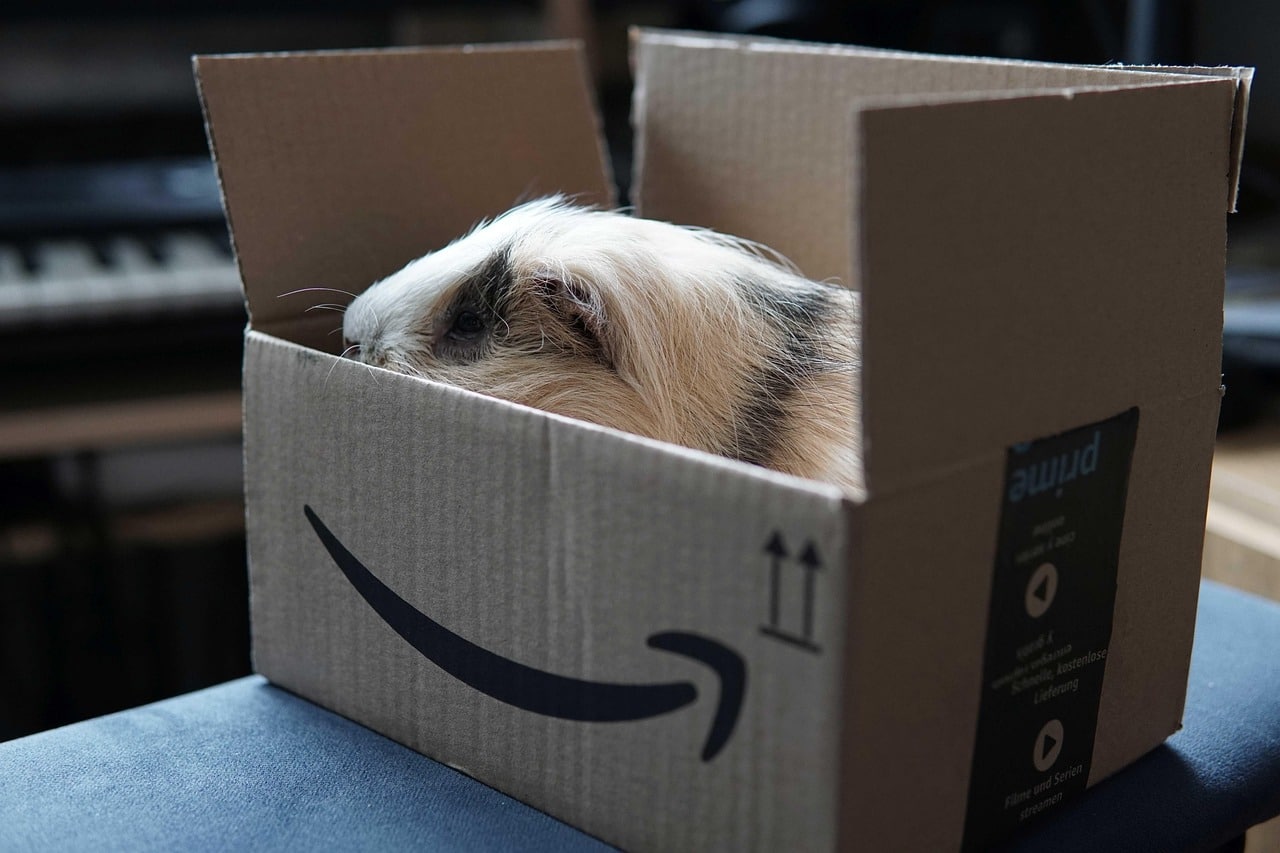 amazon haul amazon haul