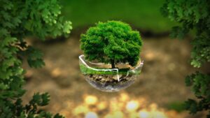 Ein kleiner Baum mit Wurzeln und Erdboden wächst in einer schwebenden Glaskugel, als Symbol für ökologische Nachhaltigkeit und klimafreundliche Suche im Internet.